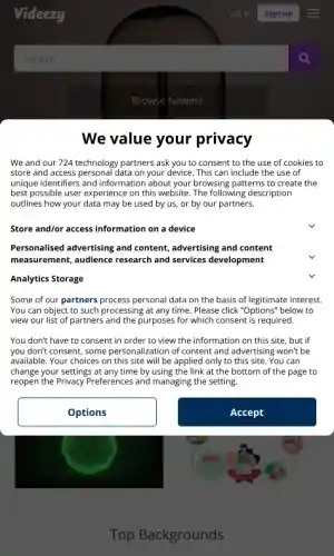 Website Preview